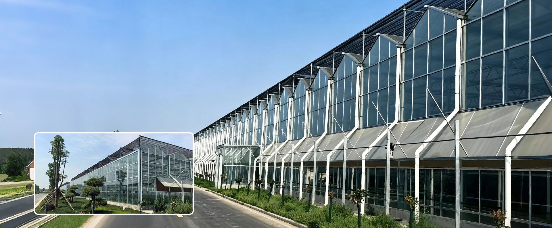 Kilang Rumah Hijau Berbilang Span China