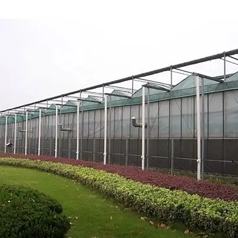 Rumah Hijau Berbilang Span Jenis Venlo Cerun Dua