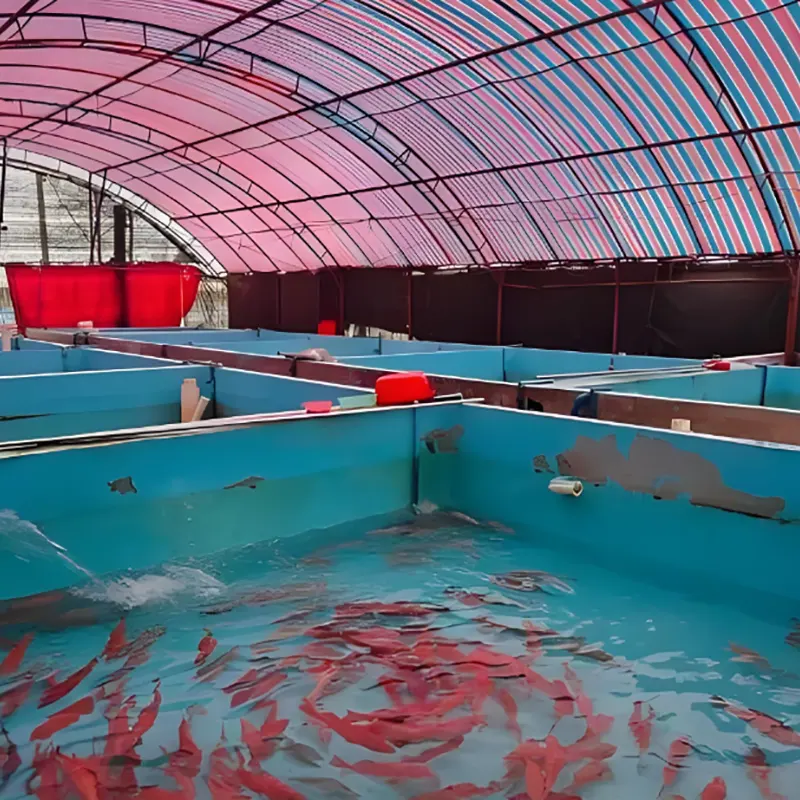 Kandang Ternakan Ikan