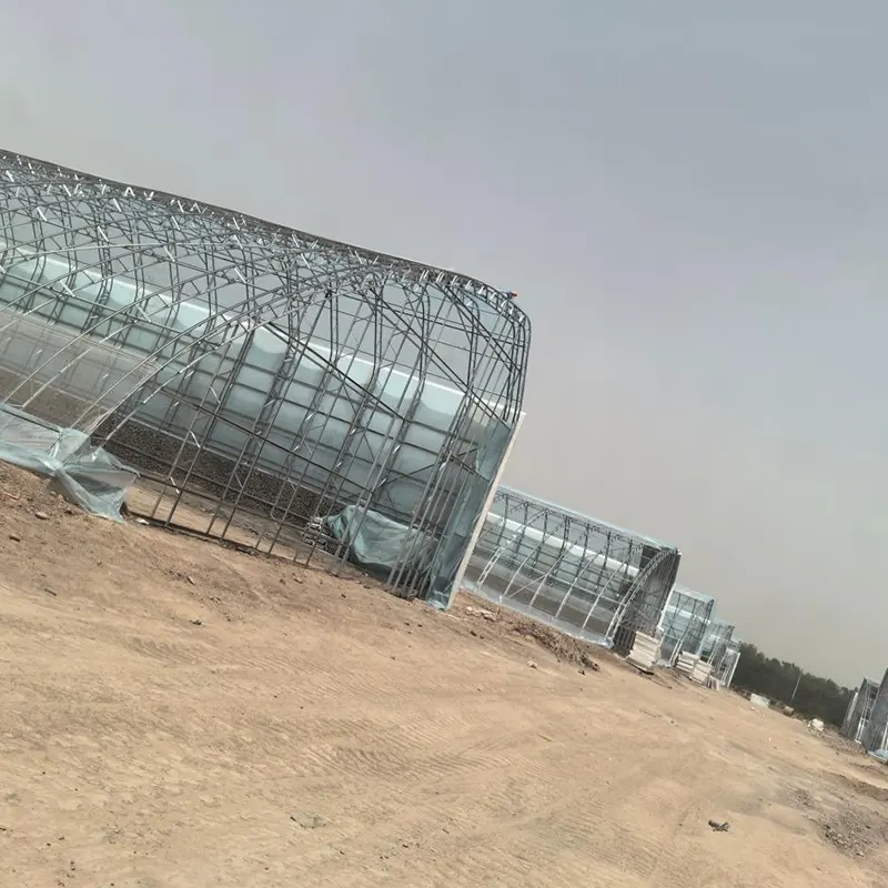 Prefabricated Double-Film Single-Slope Solar Greenhouse
