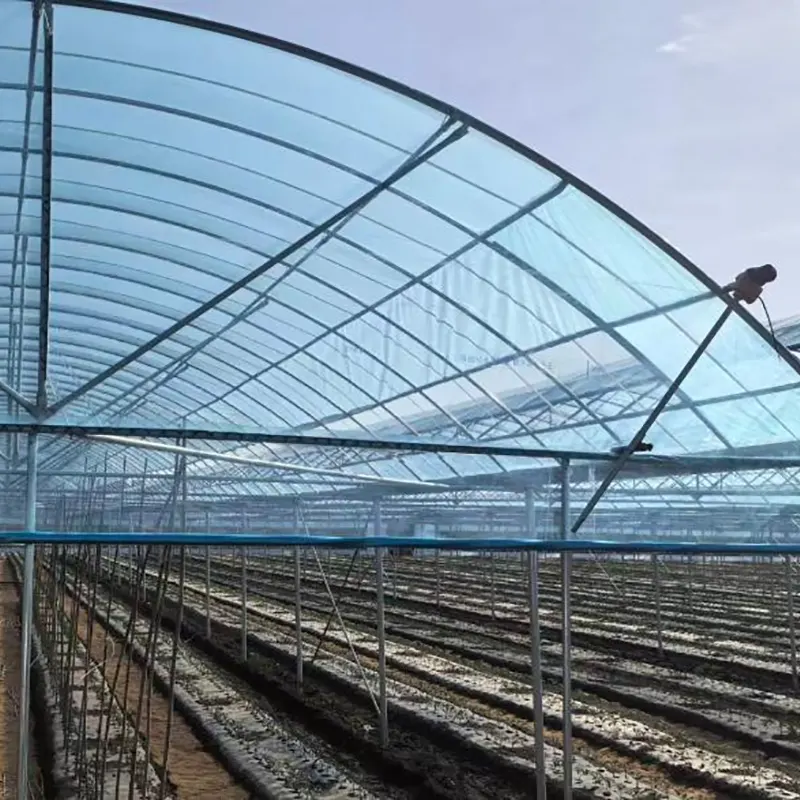 Rumah Hijau Berbilang Span Mudah Gerbang Bulat