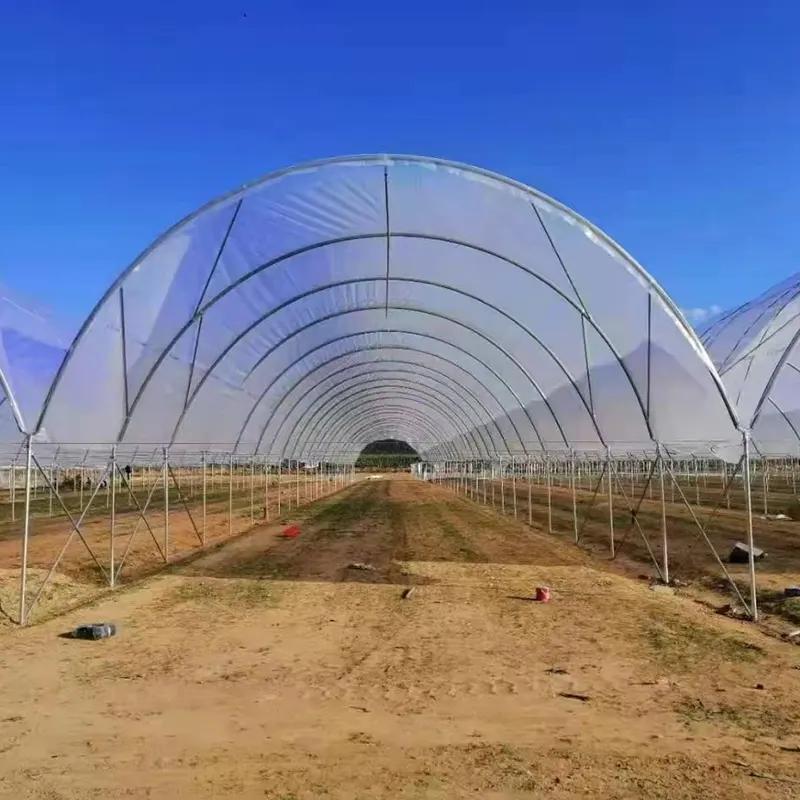 Y-Column Round-Arch Rumah Hijau Berbilang Span Mudah